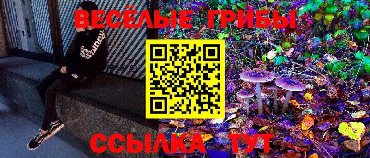 Псилоцибиновые грибы мицелий Лосино-Петровский